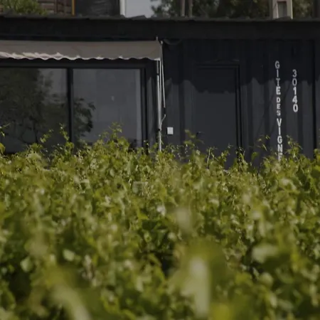 Conteneur Avec Prive Face Aux Vignes Massillargues-Attuech