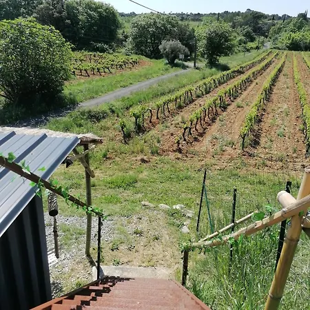 Conteneur Avec Prive Face Aux Vignes